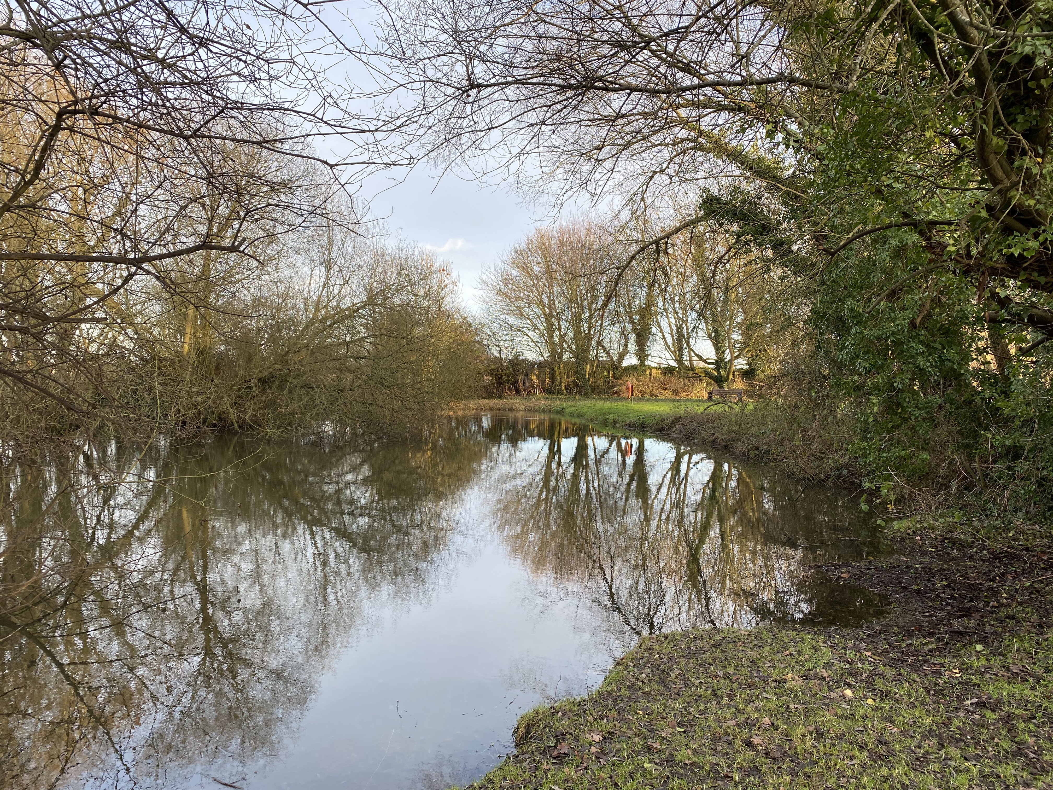 Pond area